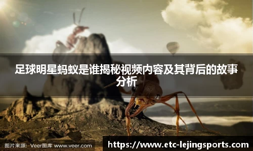 足球明星蚂蚁是谁揭秘视频内容及其背后的故事分析
